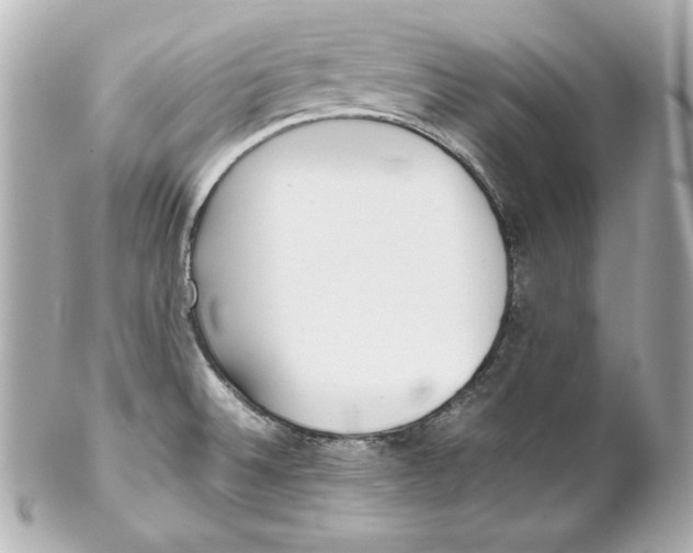 X0000102251524200808151805