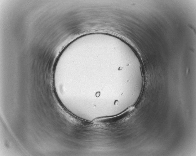 X0000102251525200808151805