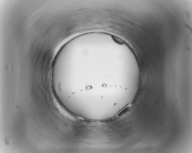 X0000102251526200808151805