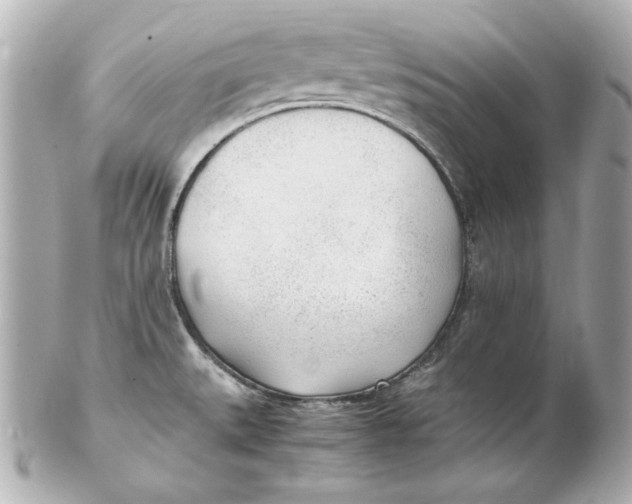 X0000102251527200808151805