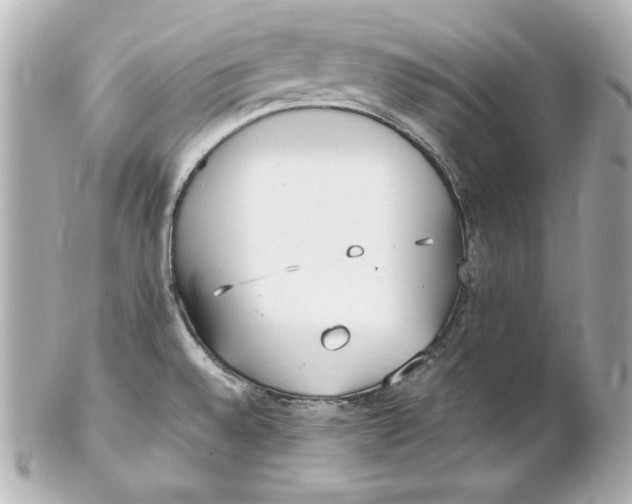 X0000102251528200808151805