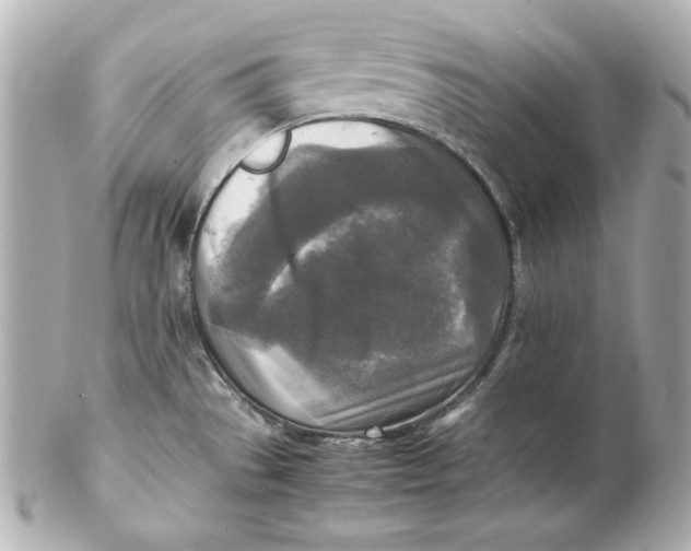 X0000102251529200808151805