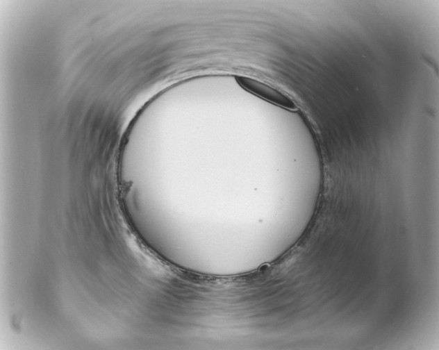 X0000102251530200808151805