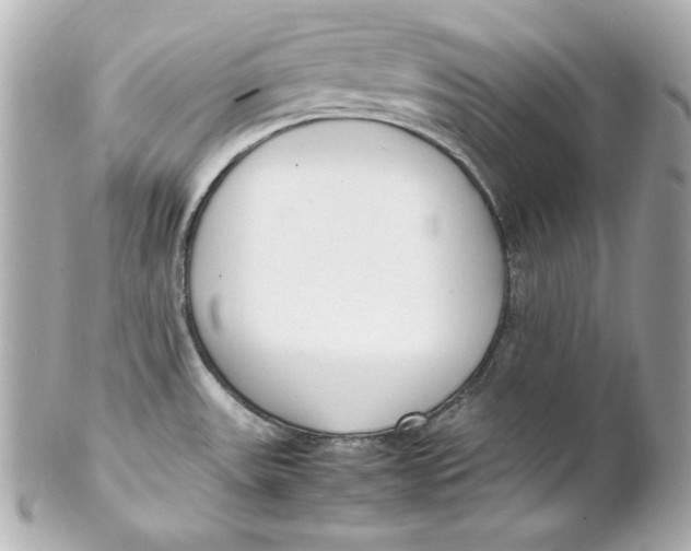 X0000102251531200808151805