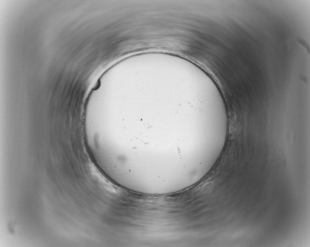 X0000102251532200808151805