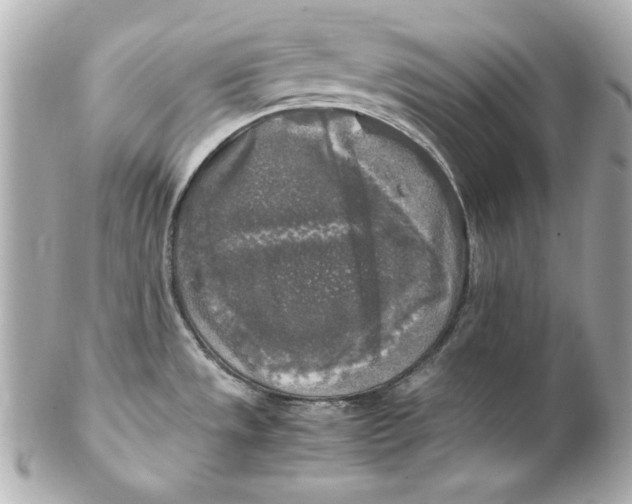 X0000102251533200808151805