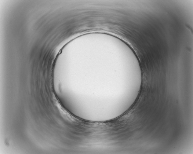 X0000102251534200808151805