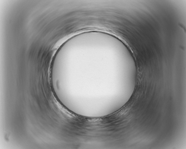 X0000102251535200808151805