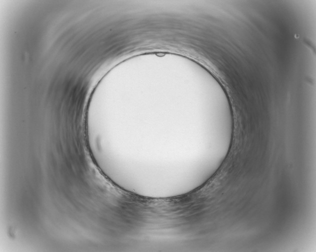 X0000102251536200808151805