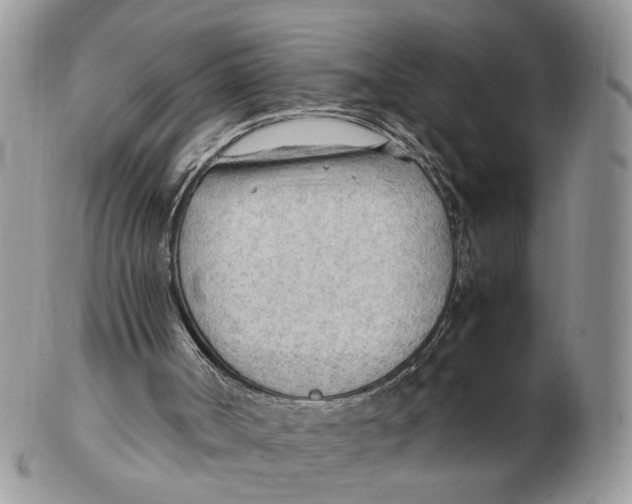 X0000102250002200808221403
