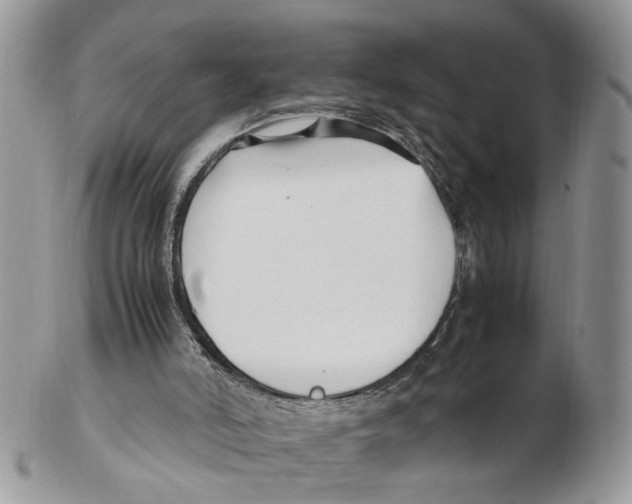 X0000102250006200808221403