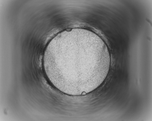 X0000102250010200808221403