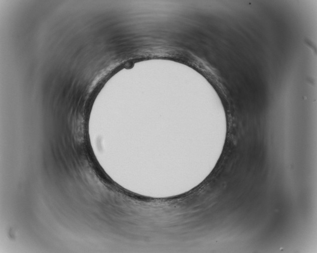 X0000102250012200808221403