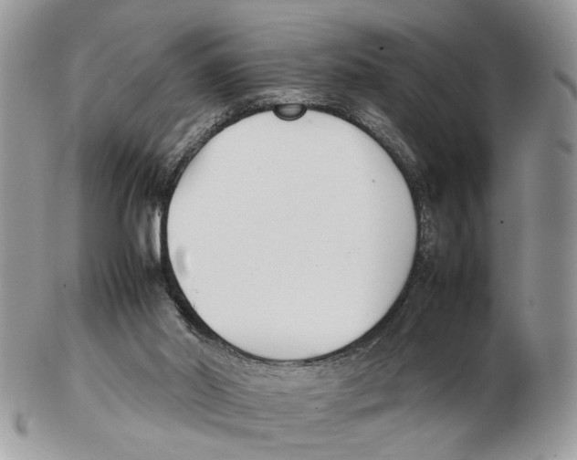 X0000102250014200808221403