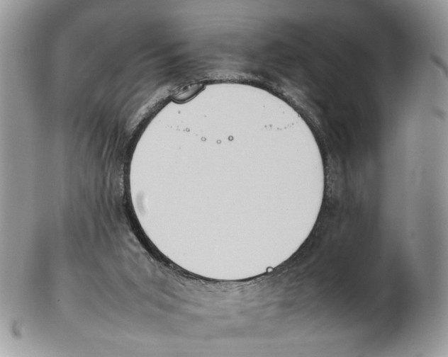 X0000102250015200808221403