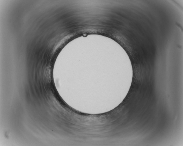 X0000102250016200808221403