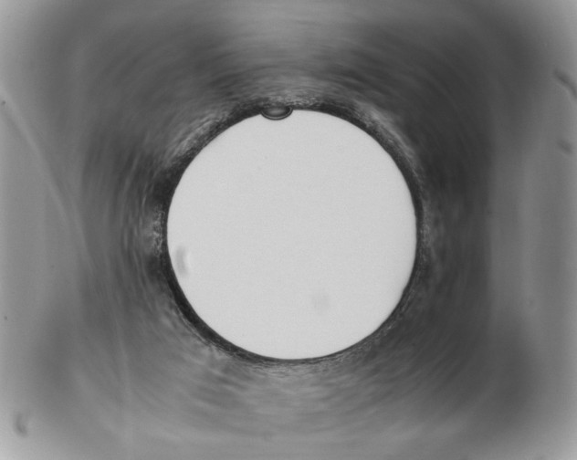 X0000102250017200808221403