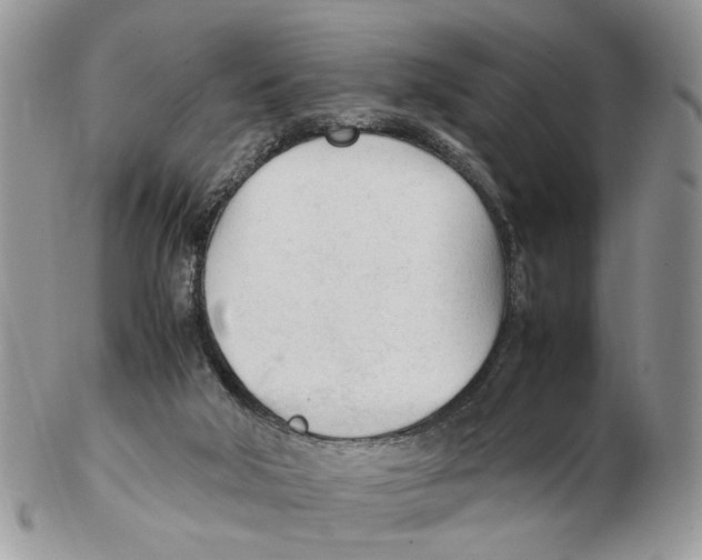 X0000102250018200808221403