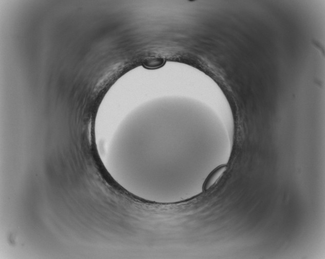 X0000102250019200808221403