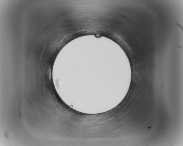 X0000102250021200808221403