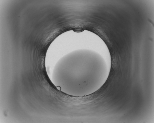 X0000102250023200808221403