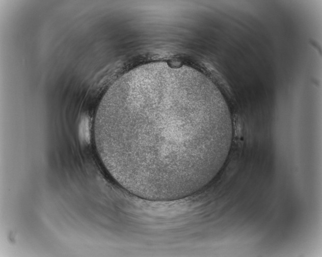 X0000102250026200808221403