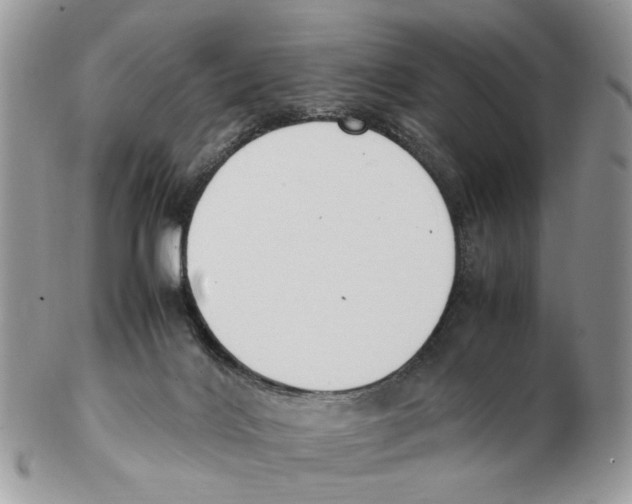 X0000102250028200808221403