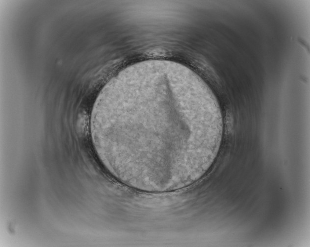 X0000102250029200808221403