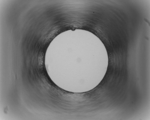 X0000102250032200808221403