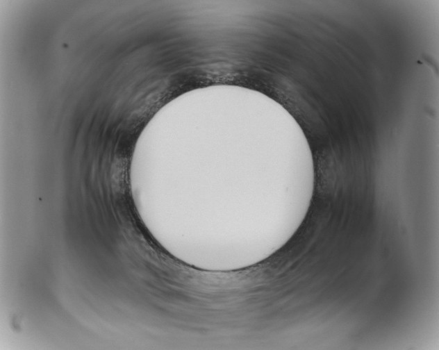 X0000102250034200808221403