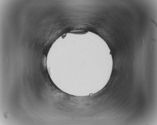 X0000102250041200808221402