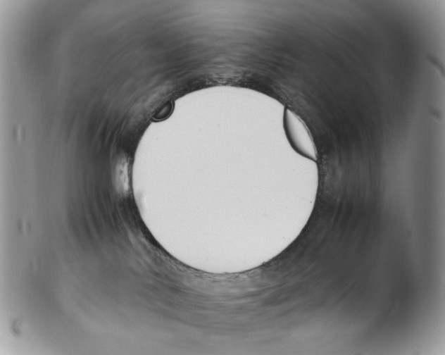 X0000102250042200808221402