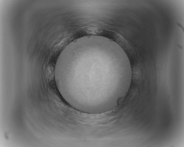 X0000102250043200808221402