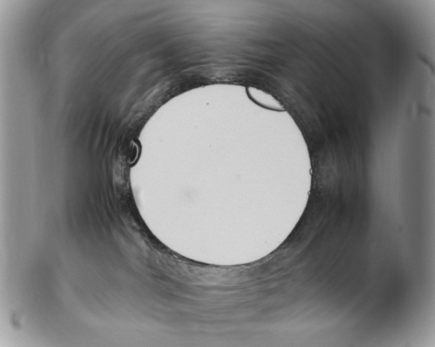 X0000102250044200808221402