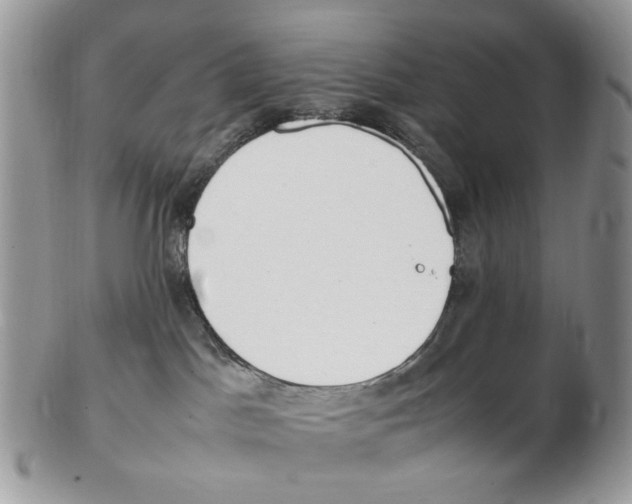 X0000102250045200808221402