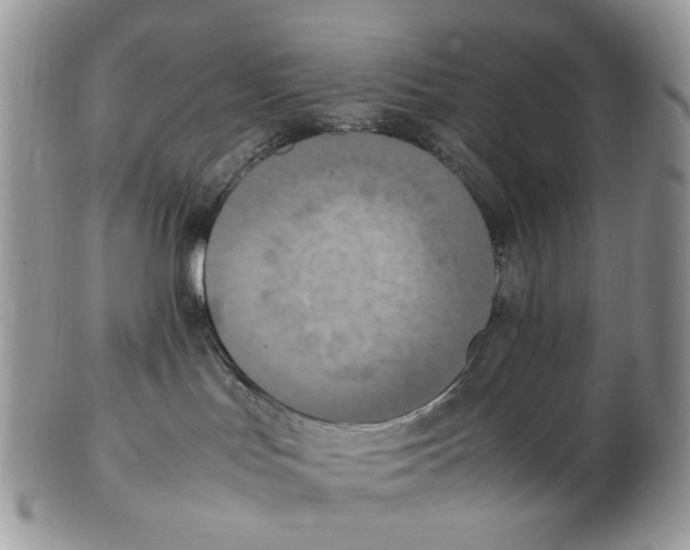 X0000102250047200808221402
