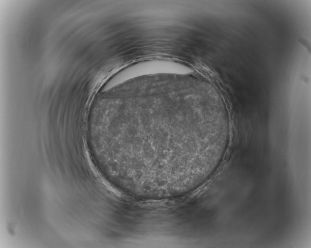 X0000102250049200808221402