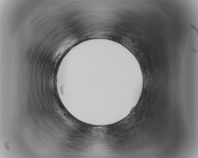 X0000102250050200808221402