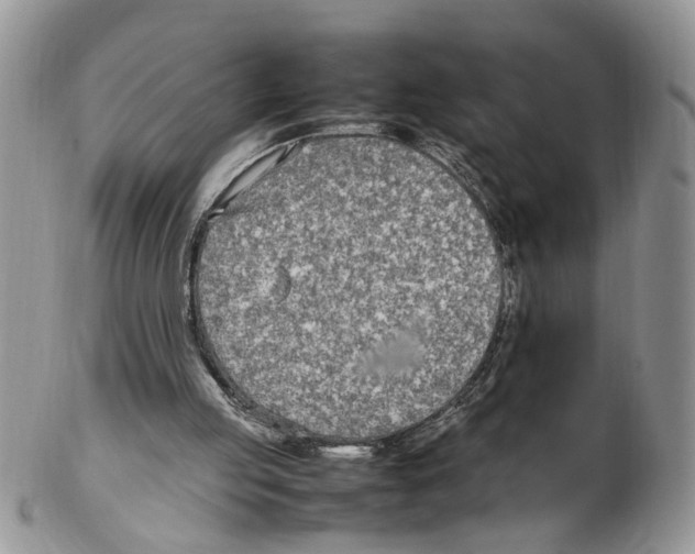 X0000102250053200808221402