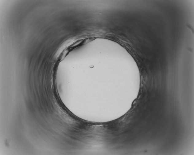 X0000102250054200808221402