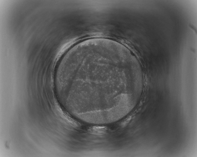 X0000102250055200808221402