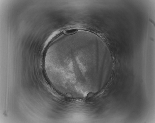 X0000102250056200808221402