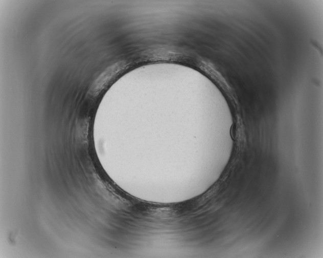 X0000102250058200808221402