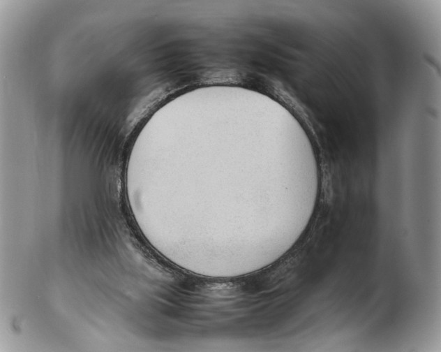X0000102250059200808221402