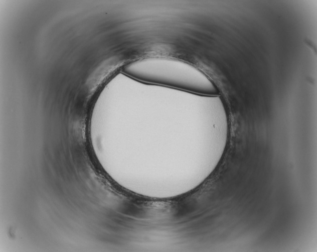 X0000102250060200808221402