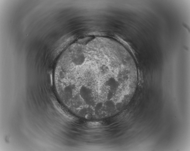 X0000102250061200808221402