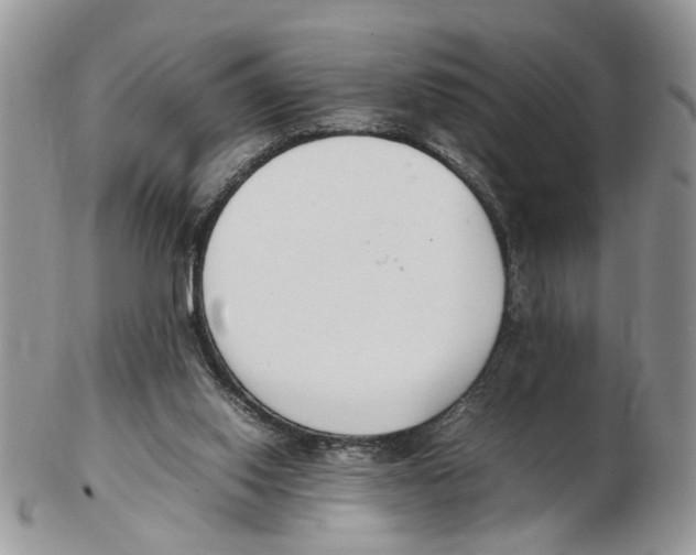 X0000102250062200808221402