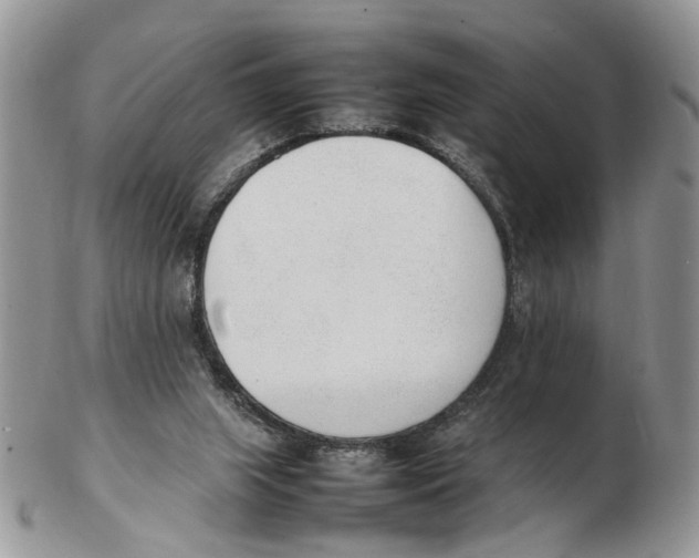 X0000102250063200808221402