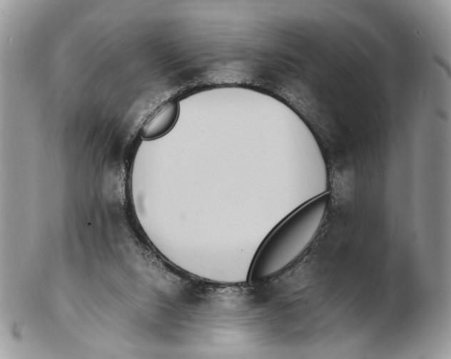 X0000102250064200808221402