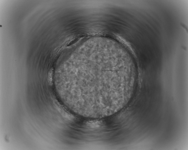 X0000102250065200808221402